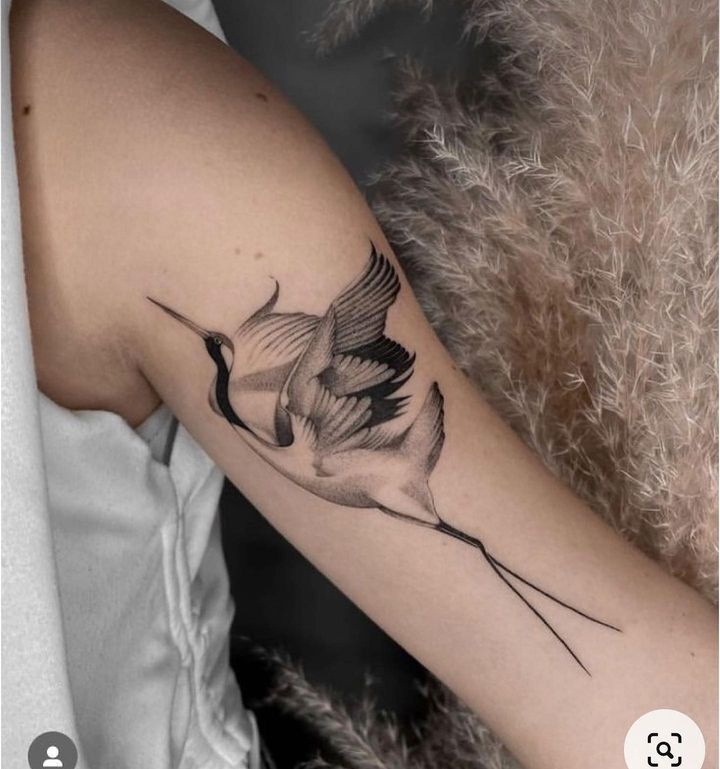 tattoo con cái hạc ở bắp tay