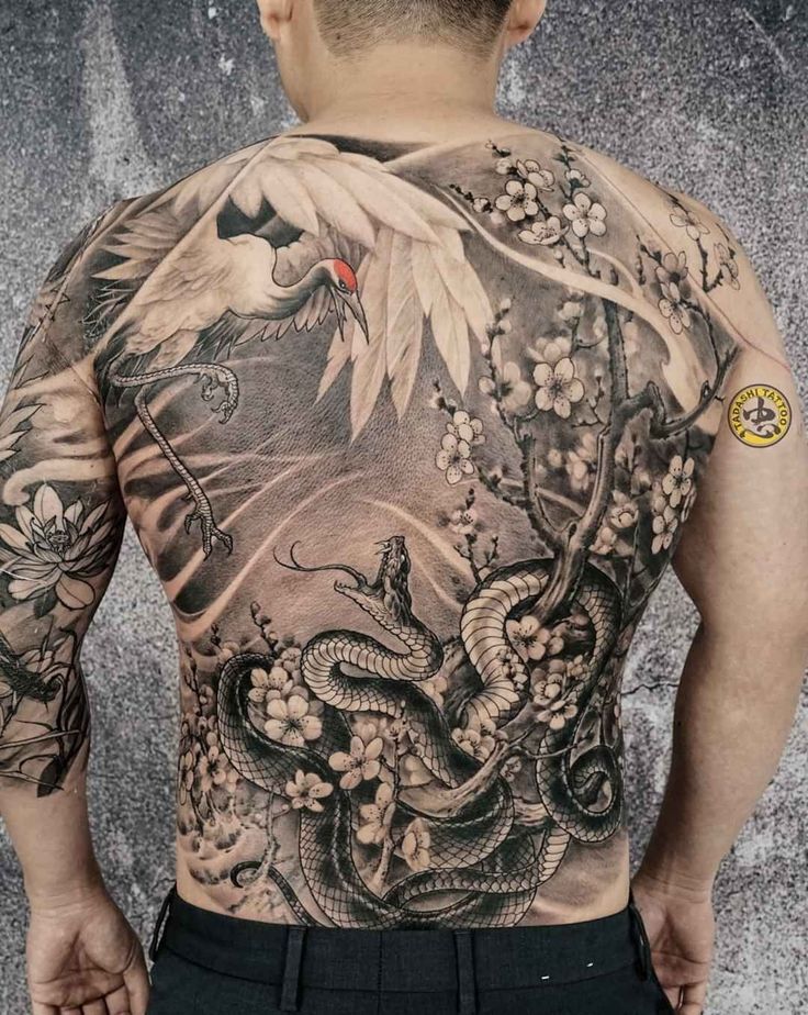 tattoo cuộc chiến của hạc và rắn rất rất chất