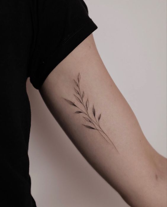 Tattoo lá liễu đơn giản mà đẹp