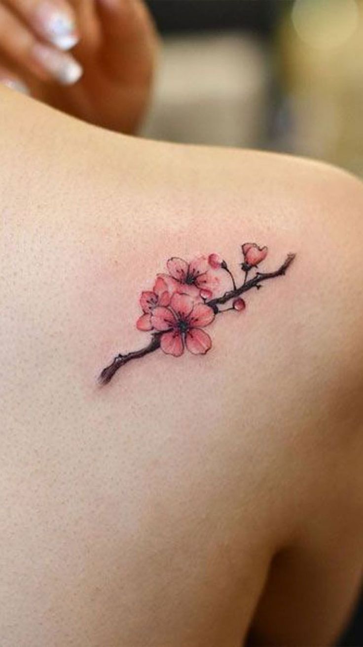 tattoo nhánh đào nhỏ trên bả vai