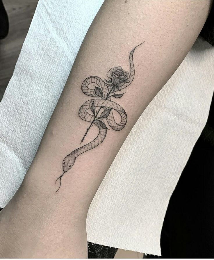 mẫu tattoo con rắn cực nghệ ở tay